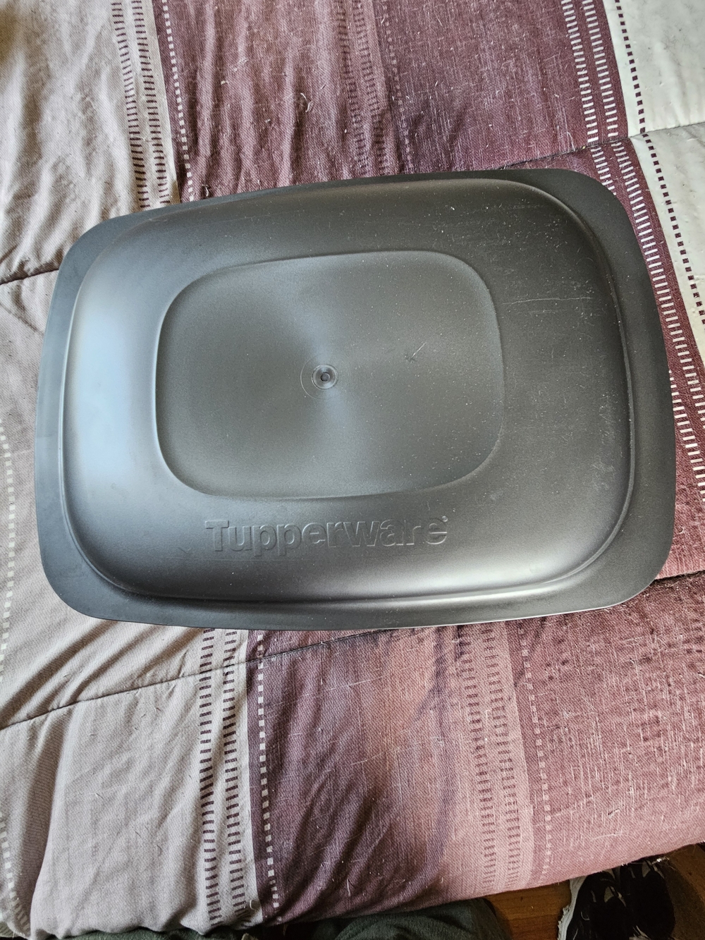 Tupperware Dark Gray Plastic  Cooking Pan. Oven,microwave And Freezer Safe